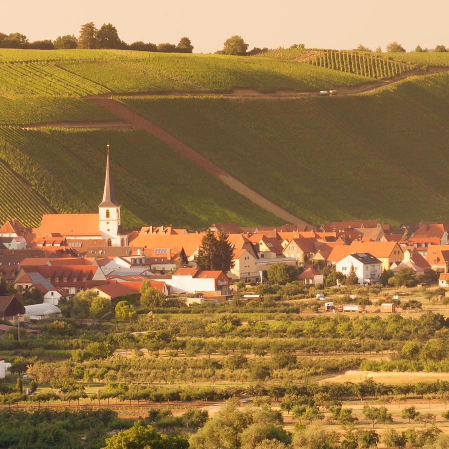 Domizil Nunn Hotel Escherndorf Buitenkant foto