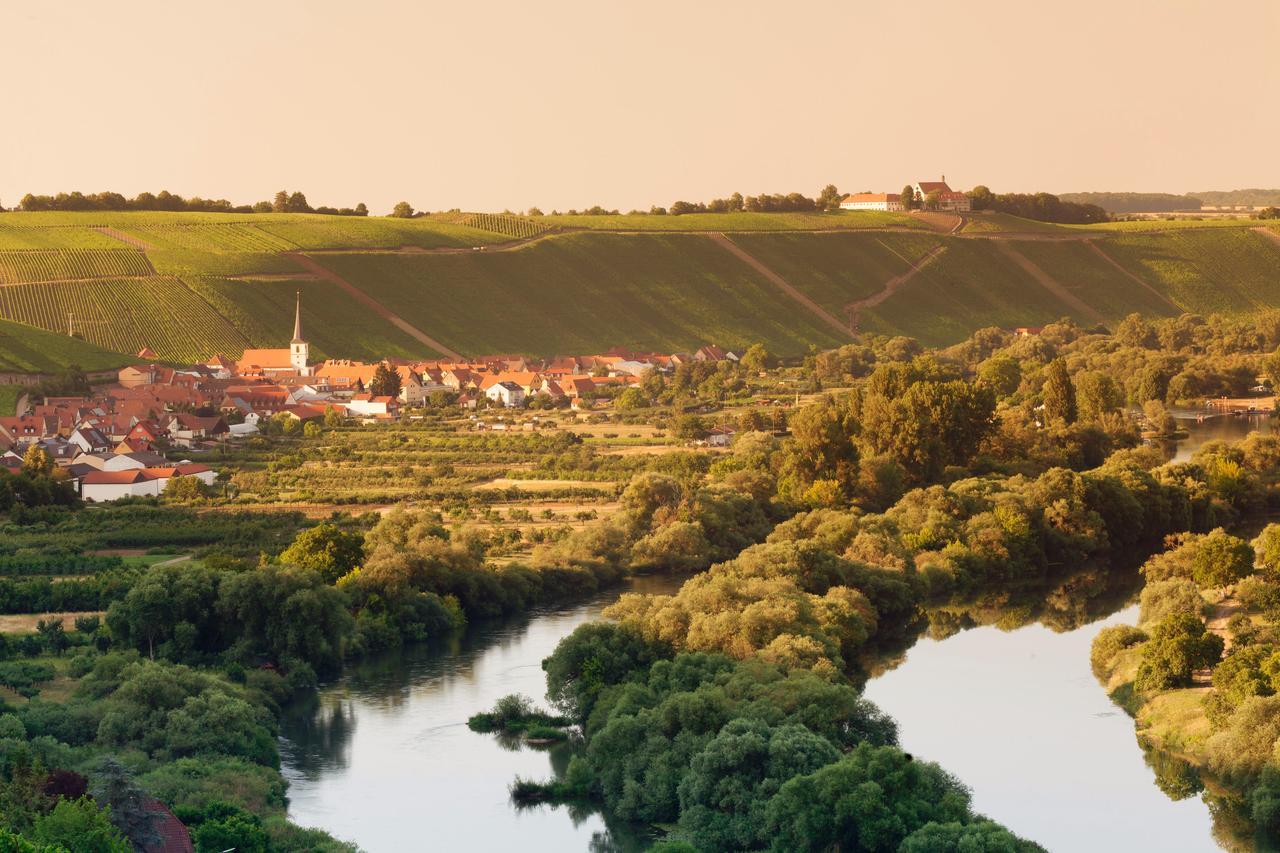 Domizil Nunn Hotel Escherndorf Buitenkant foto