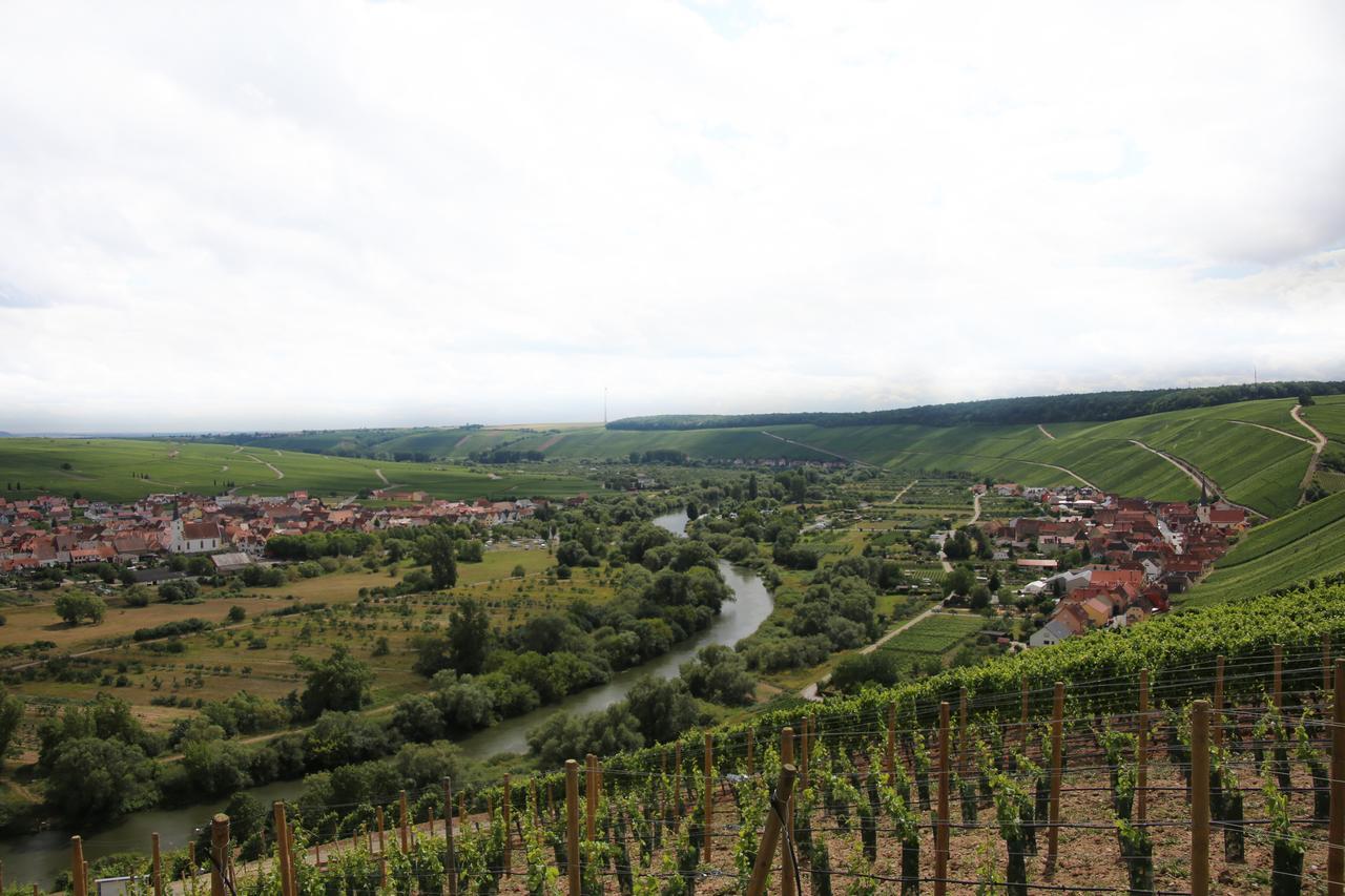 Domizil Nunn Hotel Escherndorf Buitenkant foto